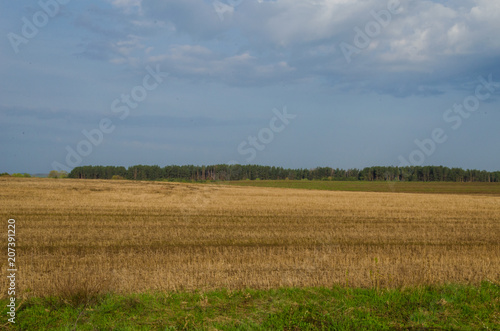 Spring field with untreated soil. Peyzazh.Selskaya unattractive to local fields
