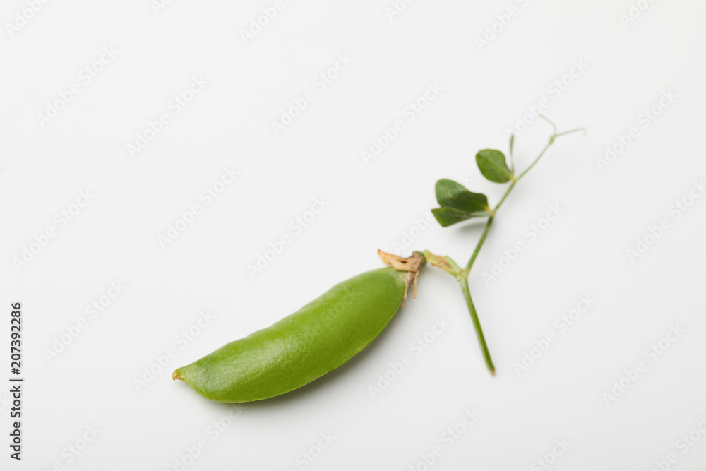top view of green pea pod on white surface top view of green pea pod on white surface