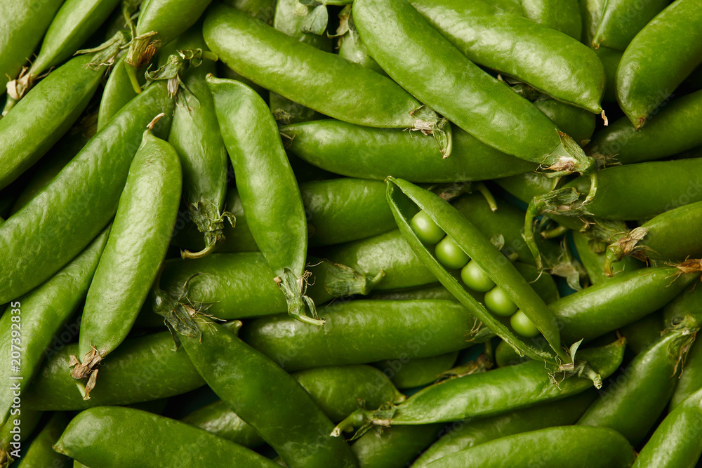 full frame shot of ripe pea pods for background full frame shot of ripe pea pods for background