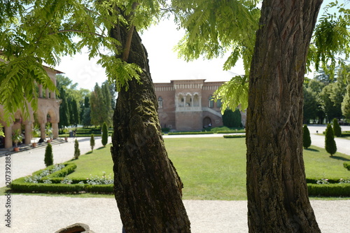 palace between the trees