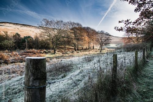 Frosty morning