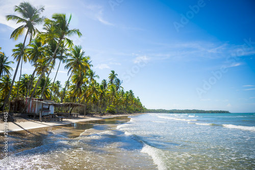 Scenic view of a desolate Brazilian beach with shadows of palm trees falling on the white sand in Bahia  Brazil