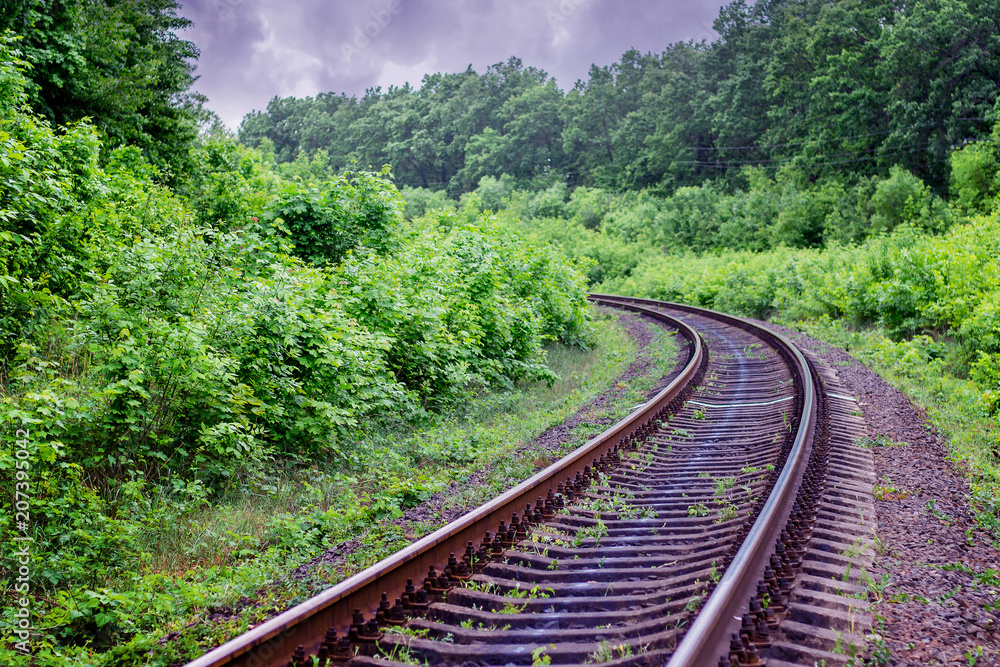 Fototapeta premium Railway track with turn going in distance. Excellent rail journey. Railroad runs through forest_