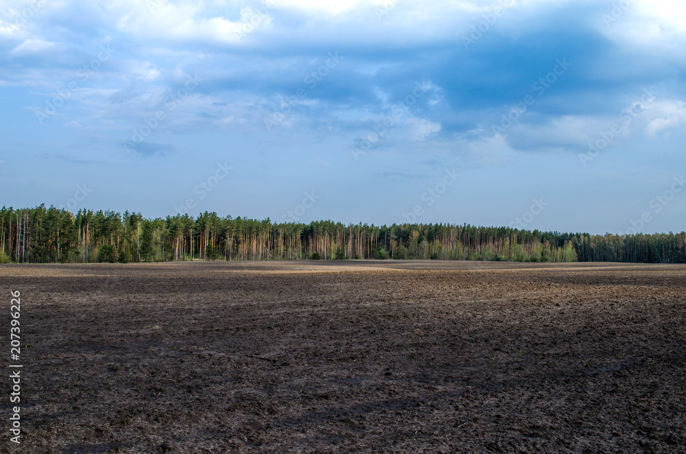 Plowed field next to the wood. Spring forest and field at dawn Plowed field next to the wood. Spring forest and field at dawn