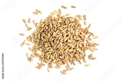Oat grain isolated on white background.