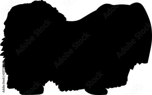 Pekingese Dog