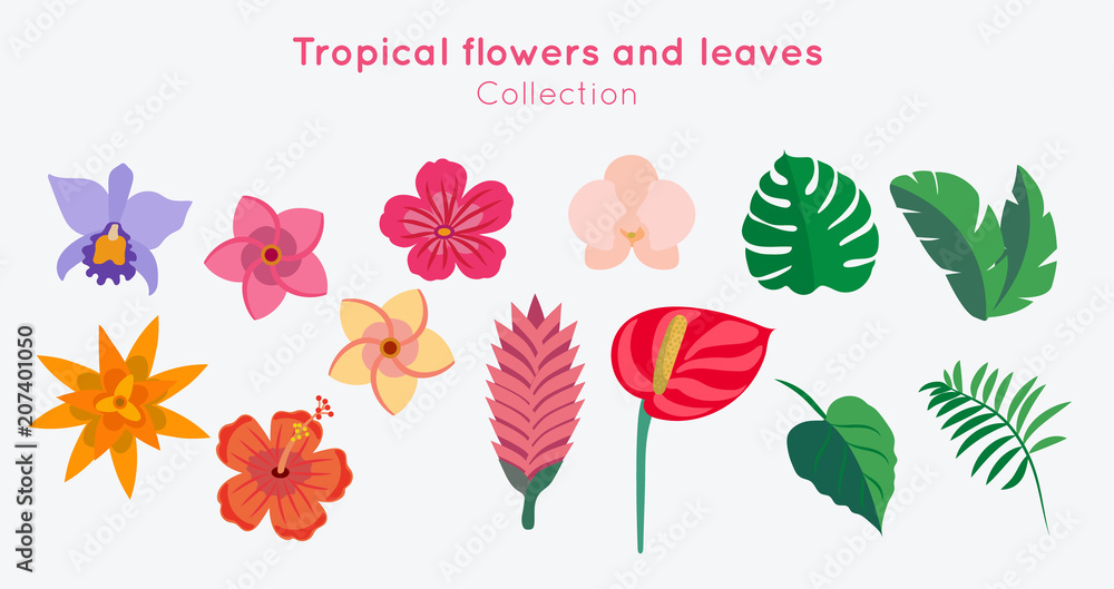 Obraz premium Tropical flowers and leaves collection - vector illustration design template. 