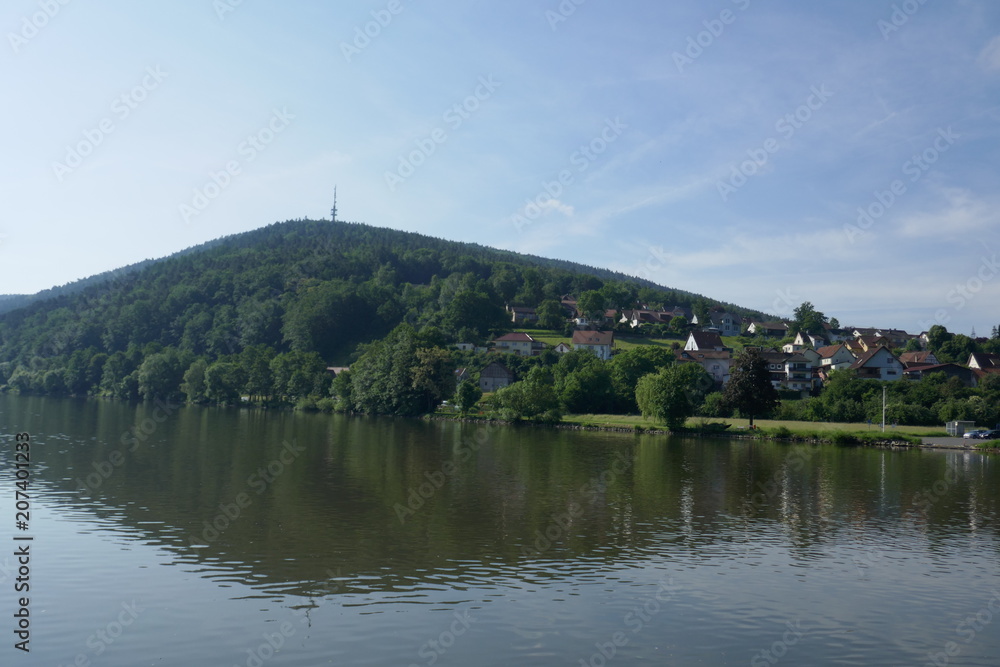 Fototapeta premium Wiesenlandschaft