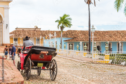 TRINIDAD, CUBA - MAY 16, 2017: The horse in harness on a city street. Copy space for text.