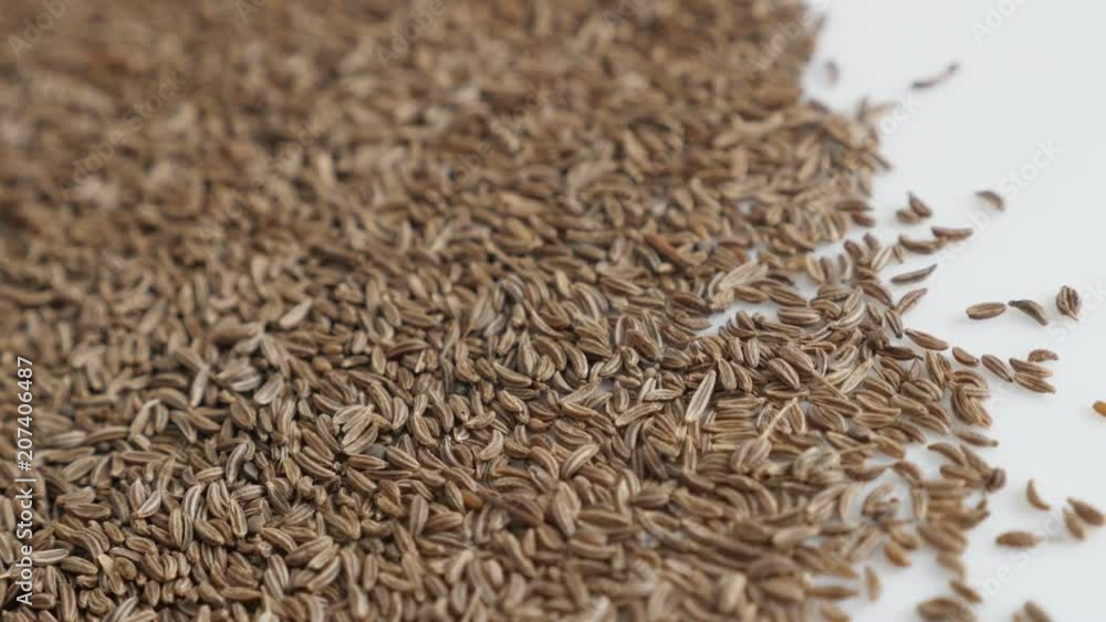 Tiny seed of caraway panning video Tiny seed of caraway panning video
