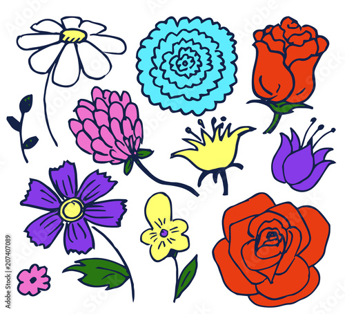 Pretty Color Flowers Aggregate Vector Illustration