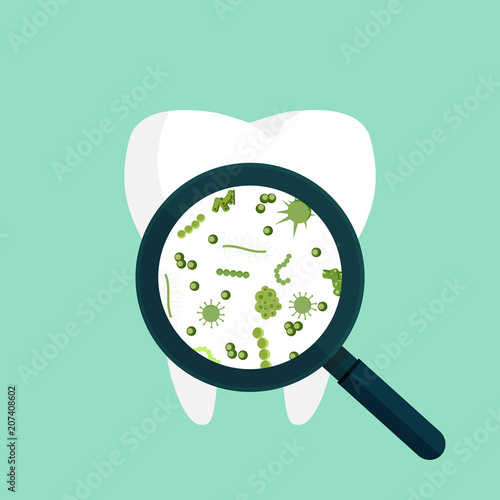 Bacteria on a human white tooth being viewed on a magnifying glass. Vector illustration