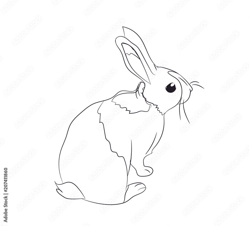 rabbits with lines, vector