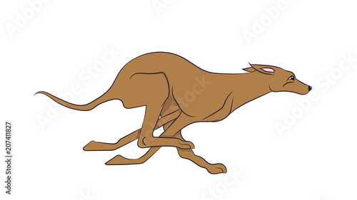 dog running  color  vector