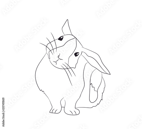 rabbit scratching ear lines, vector