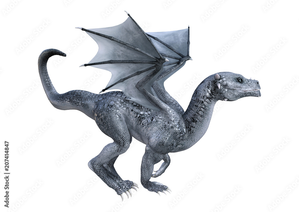 3D Rendering Fantasy Dragon Whelp on White 3D Rendering Fantasy Dragon Whelp on White