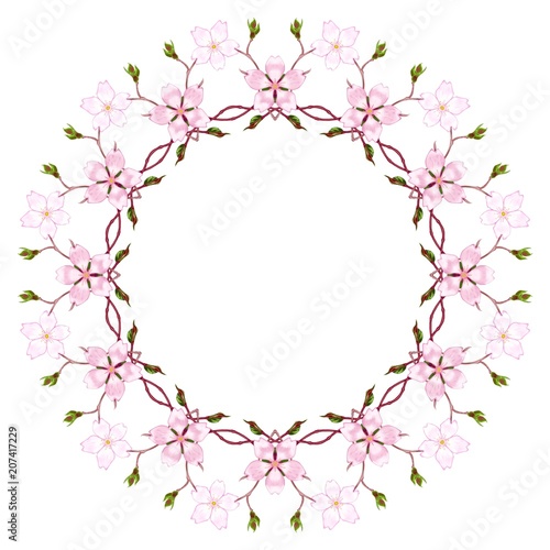 Rozetka - kwiat wiśni
