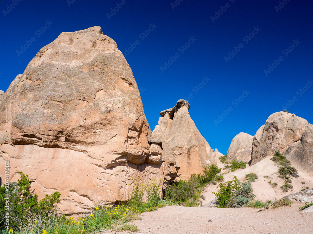 Volcanic rock formations with monk cave homes in Pasabag valley central Turkey.
