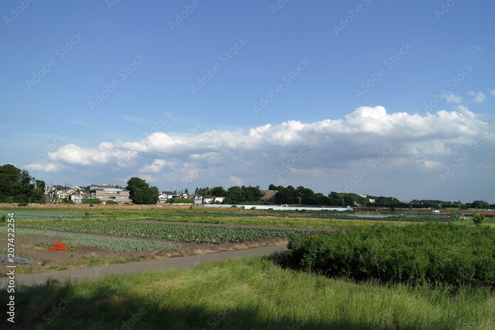 日本の農業地区