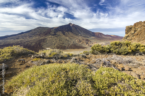 view on grass and rocks with teide volcano on background