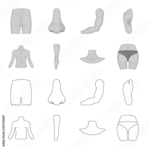 Torso, leg, neck and buttocks. Body parts set collection icons in outline,monochrome style vector symbol stock illustration web.