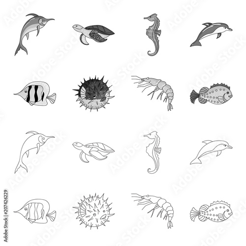 Shrimp, fish, hedgehog and other species.Sea animals set collection icons in outline,monochrome style vector symbol stock illustration web.