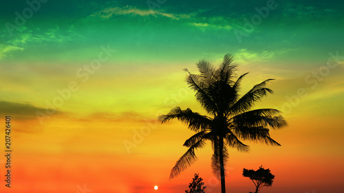 sunset colorful sky and silhouette coconut tree
