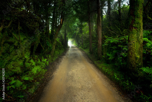 Camino misterioso