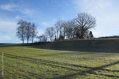 Bocage