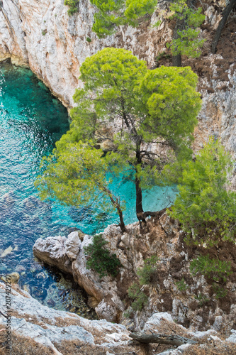 Pine tree on a rock over crystal clear turquoise water near Cape Amarandos at Skopelos island, Greece photo