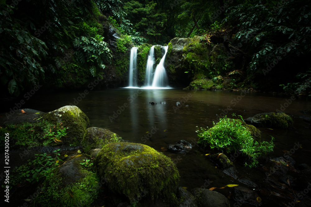 Obraz premium Cascada en la selva