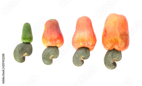 Cashew fruit (Anacardium occidentale) isolated on white background