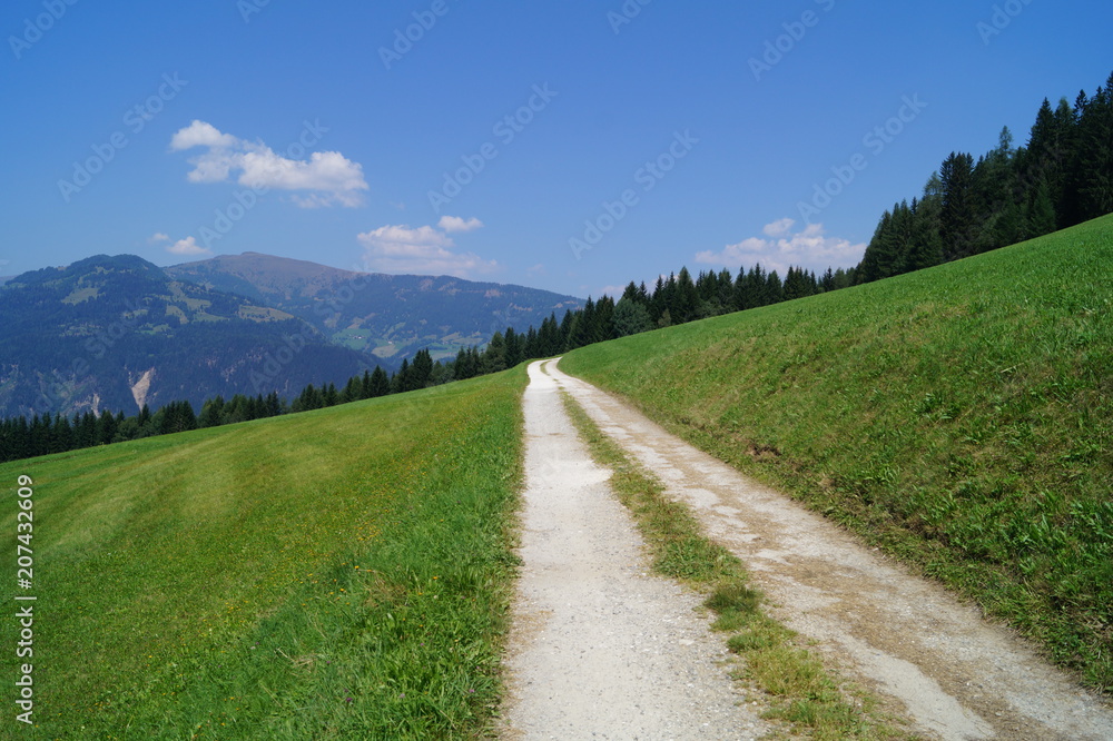 Obraz premium Weg