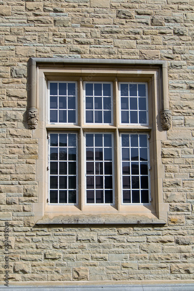 Windows Windows
