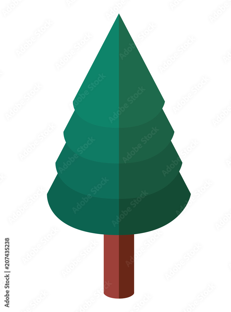 Fototapeta premium pine tree plant isometric icon vector illustration design