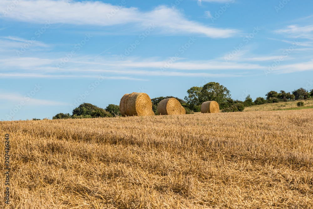 Hay Bales in a Ploughed Field in Sussex, on a Summer's Evening