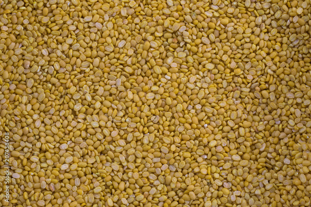 soybean is a useful plant and can be cooked in several ways. soybean is a useful plant and can be cooked in several ways.