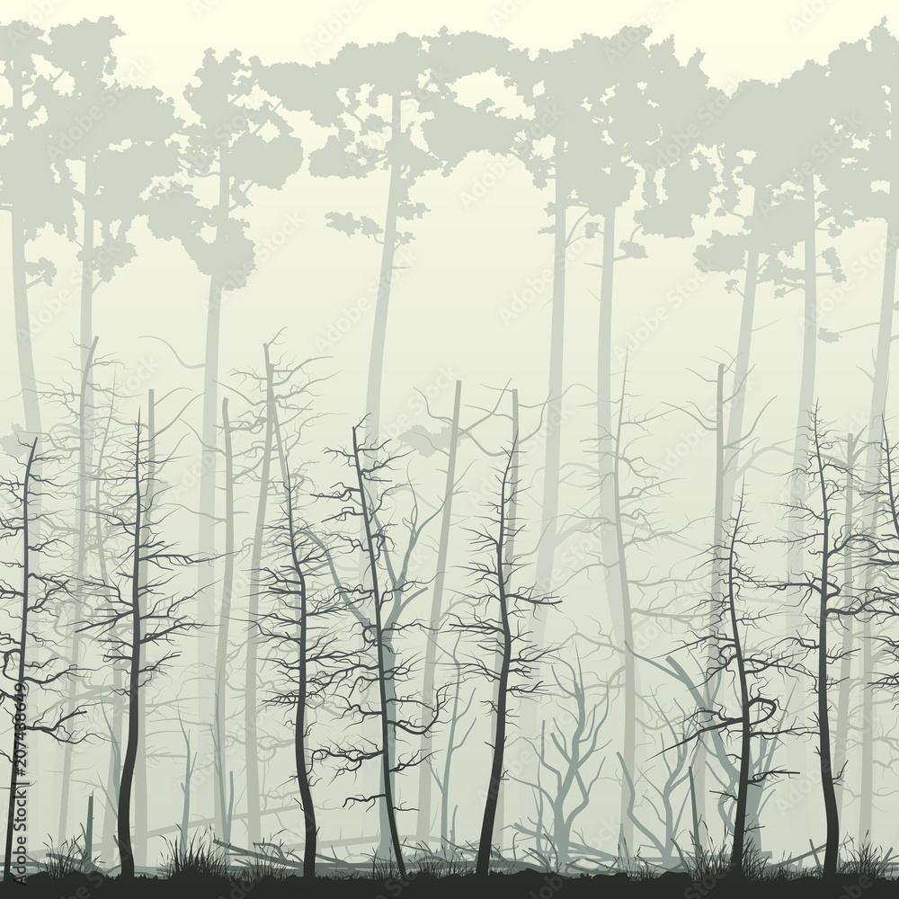 Square illustration with many deadwood, driftwood tree trunks. Square illustration with many deadwood, driftwood tree trunks.
