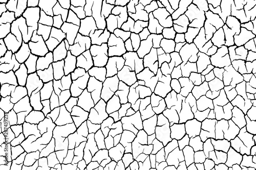 The cracks texture white and black. Vector background.Cracked earth. Structure of cracking. Cracks in dry surface soil texture.