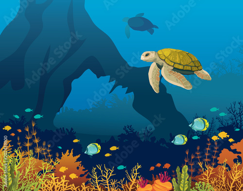 Coral reef, fish, underwater arch, turtle.