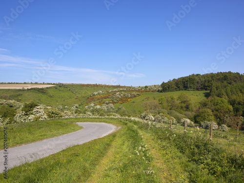 Millington Pastures valley