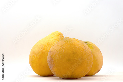 Wallpaper Mural Santol  isolated on white background. Torontodigital.ca