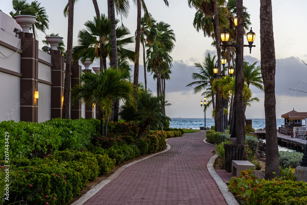 Pedestrian driveway surrounded by palm trees at sunset.