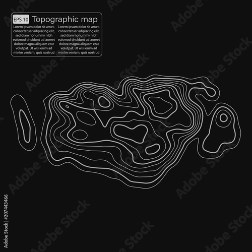 Topographic map. Topographical background. Linear graphics. Vector illustration.