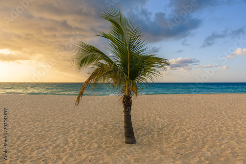 Fototapeta Naklejka Na Ścianę i Meble -  Palms on an idyllic Caribbean beach