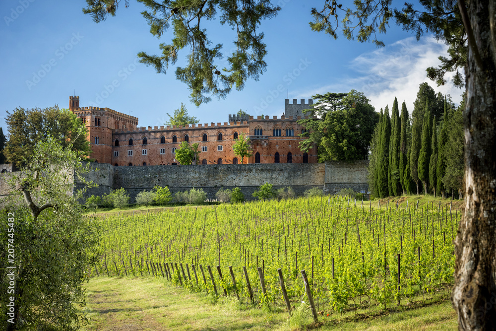 Castles and vineyards of Tuscany, Chianti wine region of Italy