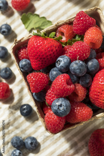 Raw Red Organic Mixed Berries