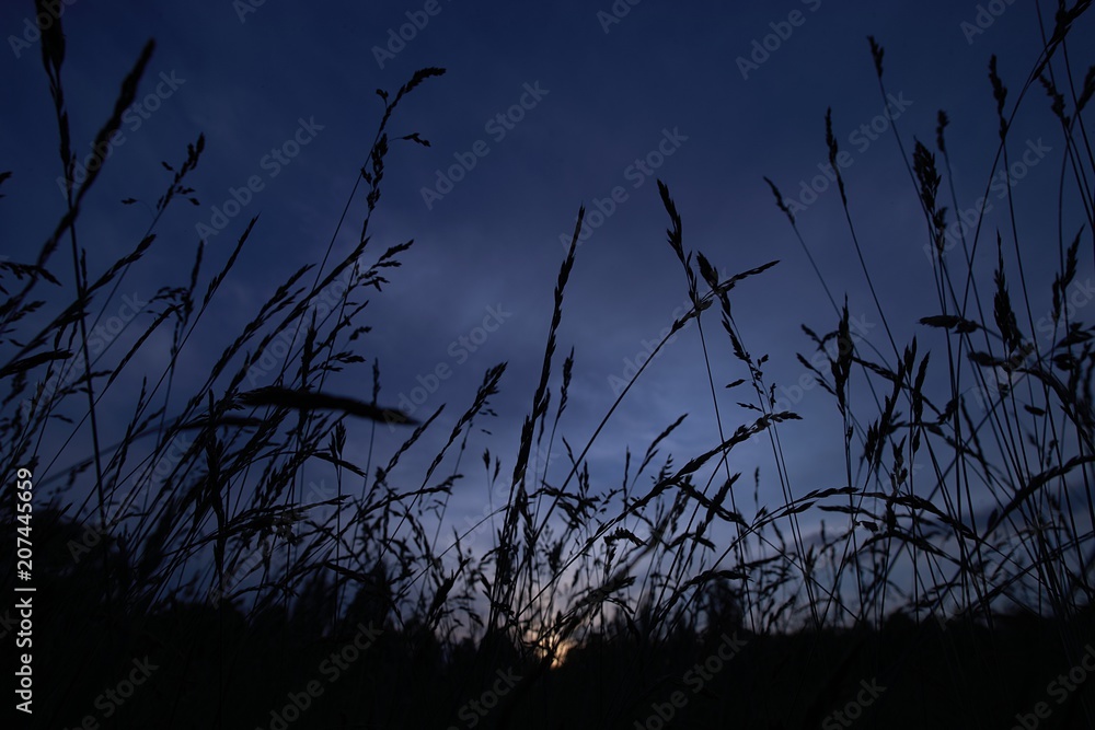 Beautiful Sunset on grass field at summer time. grey sky sunset Beautiful Sunset on grass field at summer time. grey sky sunset