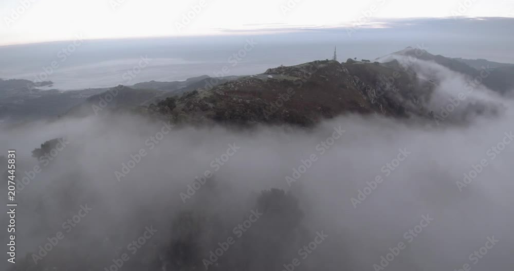 Fliying with fog over the forest Fliying with fog over the forest
