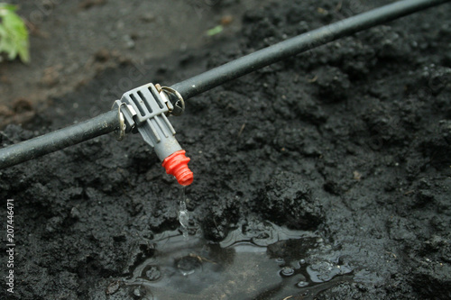 Canvas Print Irrigation system close up